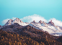 世界杯官方平台-【全运女足】王霜助攻王焱破门 联合队1比0胜陕西队